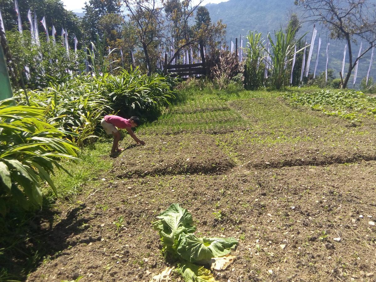 Martam Farmhouse Pelling Exterior foto