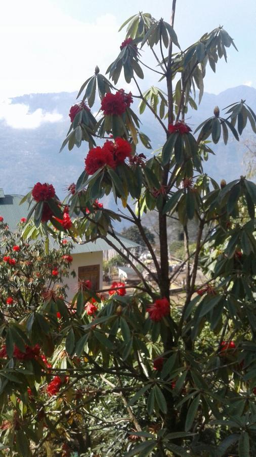 Martam Farmhouse Pelling Exterior foto