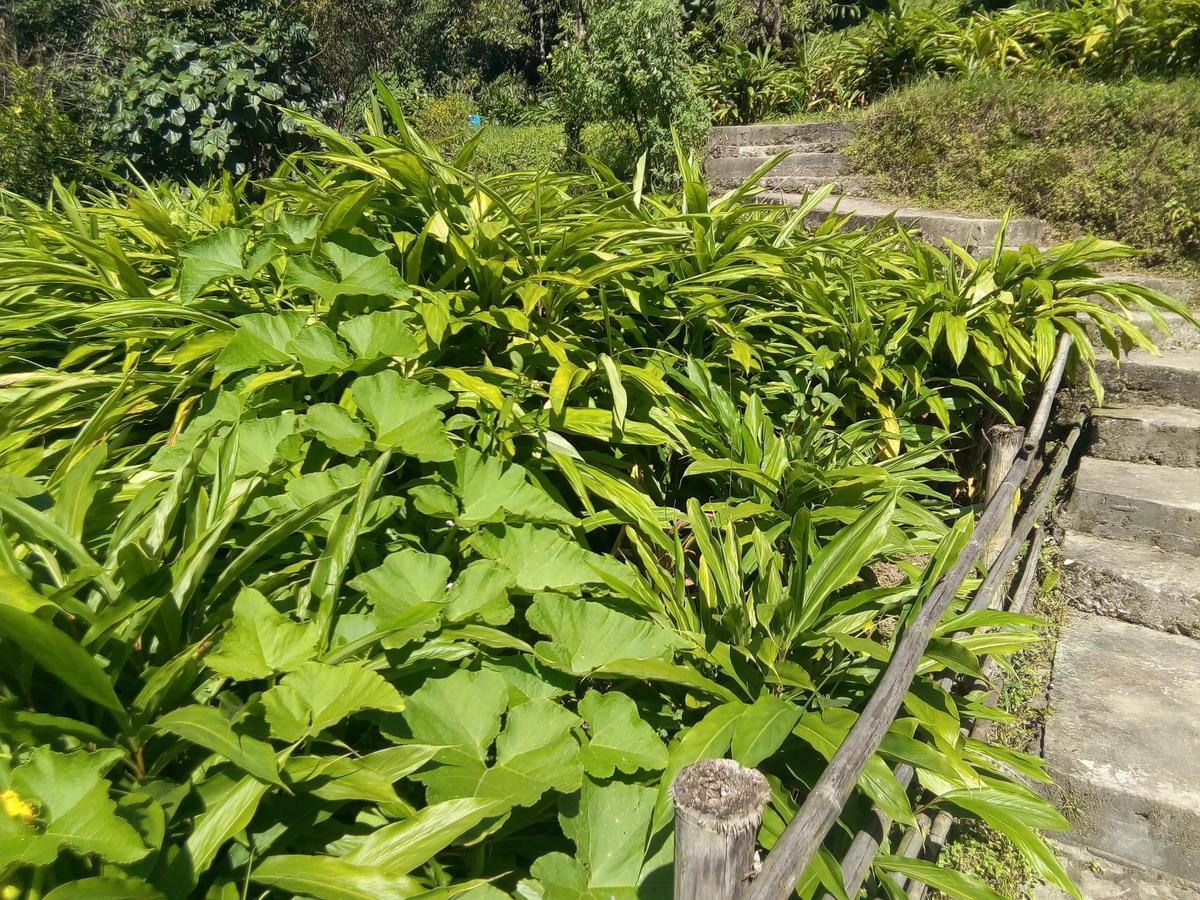 Martam Farmhouse Pelling Exterior foto